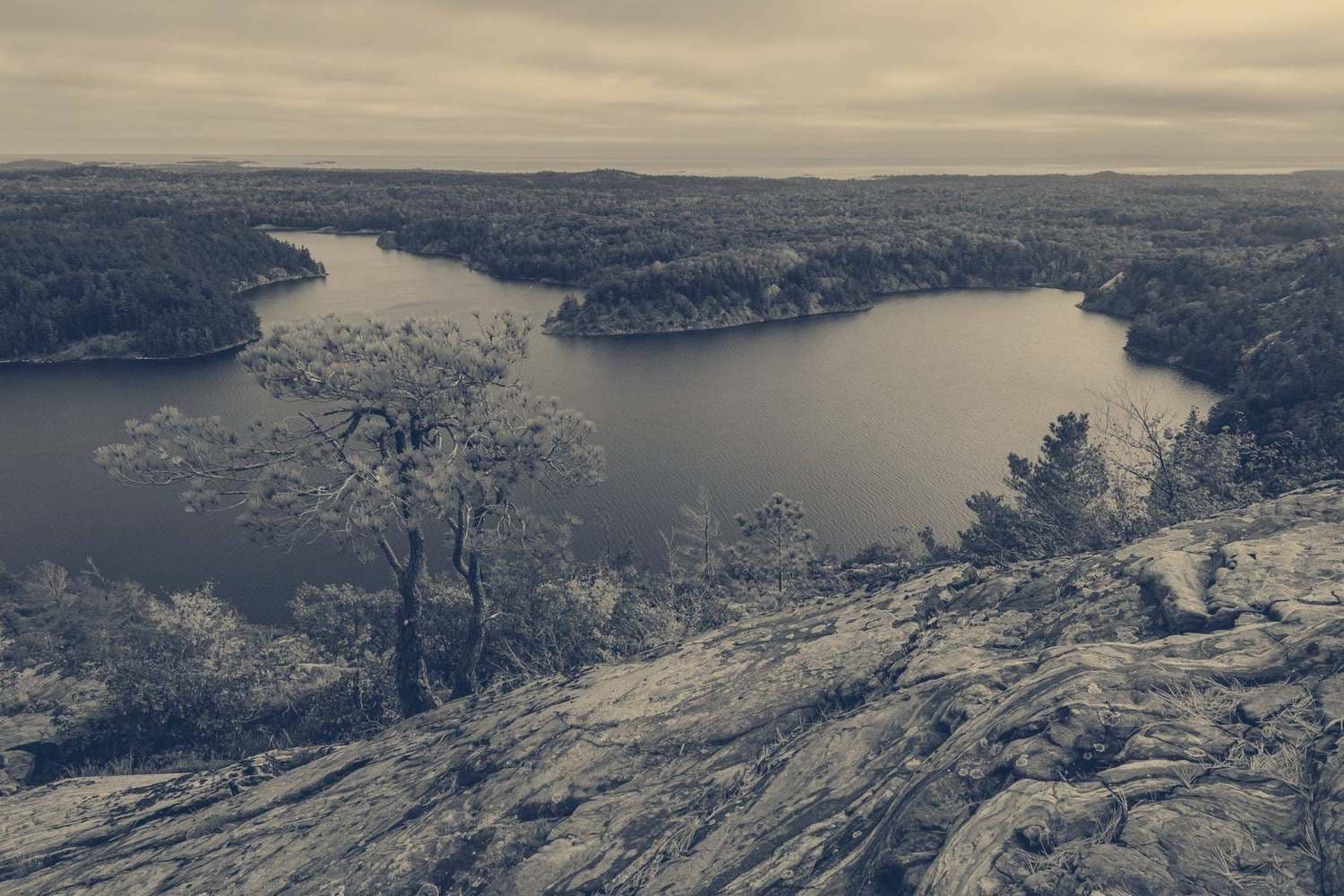 A lake winding between wooded ridges, seen from a rocky overlook